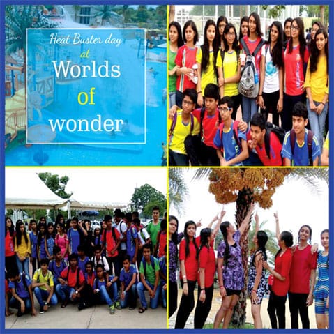 Dynasty International School