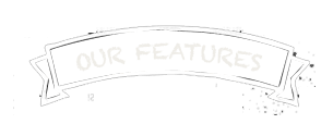 Feature
